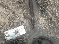 -赵州桥景区