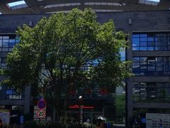 -重庆市中医院(南桥寺院部)