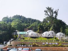 -洪崖丹井
