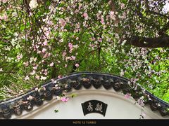 -深圳国际园林花卉博览园