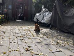 -烟袋斜街