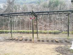 -金钉子远古世界景区