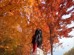 -长白岛森林公园