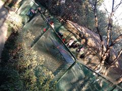 -杭州半山国家森林公园