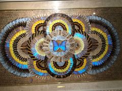 -上海昆虫博物馆