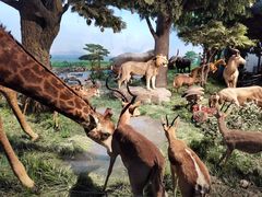 -国家自然博物馆