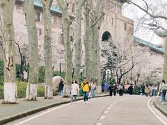 -武汉大学-樱园