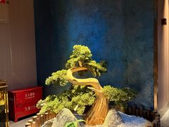 -陆琴脚艺·足浴·SPA(夫子庙店)