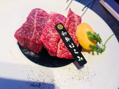 -东京烧肉 平城苑(银座５丁目店)