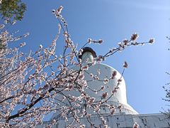 -颐和园