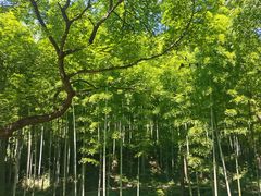 -黄公望隐居地