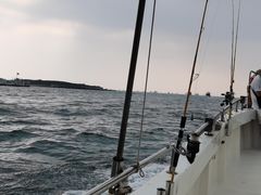 -小猫钓鱼海钓俱乐部(椰梦长廊店)