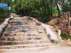 -阳台山自然风景区