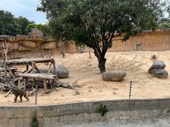 -泉州海丝野生动物世界