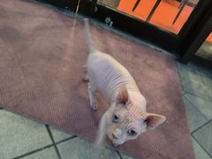 -嘉善路(地铁站)