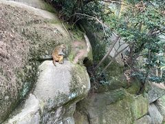 -重庆雨台山风景区