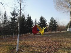 -长春世界雕塑园冰雪艺术天地