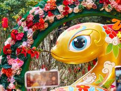 -越秀西湖花市(广州城市广场花卉店)