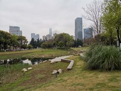-后襄河公园