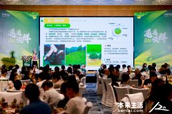 点击看大图 -金茂深圳JW万豪酒店·宴会厅