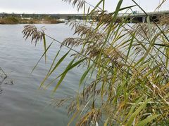 -绿堤公园