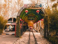 -合肥滨湖国家森林公园