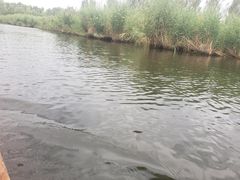 -白洋淀景区