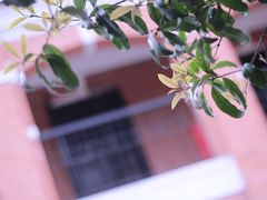 -辛亥革命博物院北区