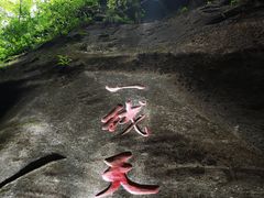 -黑河国家森林公园