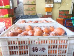 -双福水果批发市场
