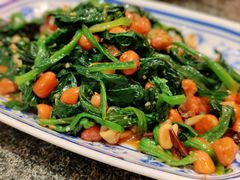 -揽月斋炙子烤肉·清真(安定门·五道营店)
