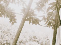-何东旧居
