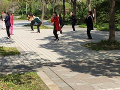 -新江湾城公园