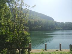 -田园东方蜜桃村的田野营地