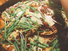 -老板恋上鱼(恒隆广场店)