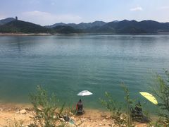 -望湖烤鱼
