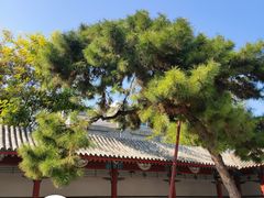-莲池书院博物馆