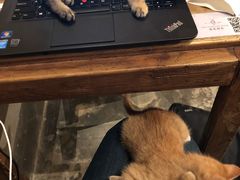 -时光转角咖啡馆(西康路店)