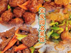 -宝发园名菜馆