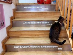 -猫的天空之城概念书店(杭州南宋御街店)