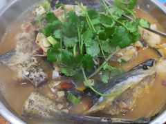 -全乐鱼馆·淳牌有机鱼直营店