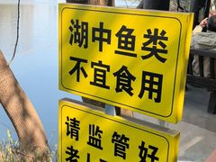 -重庆彩云湖湿地公园