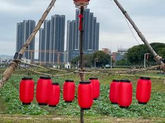 -光明小镇欢乐田园