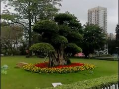 -北部湾广场