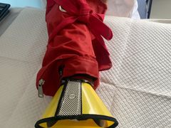 -瑞派福兴宠物医院犬猫全科·骨科·中西医结合(河东店)