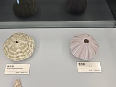 -天津古林古海岸遗迹博物馆