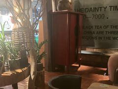 -陶享时光西餐·下午茶·竹林花园(新城店)