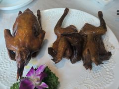 -光明招待所(邦凯科技园店)