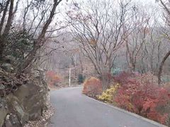 -紫金山山顶公园