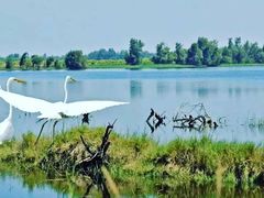 -白鹭湾湿地公园